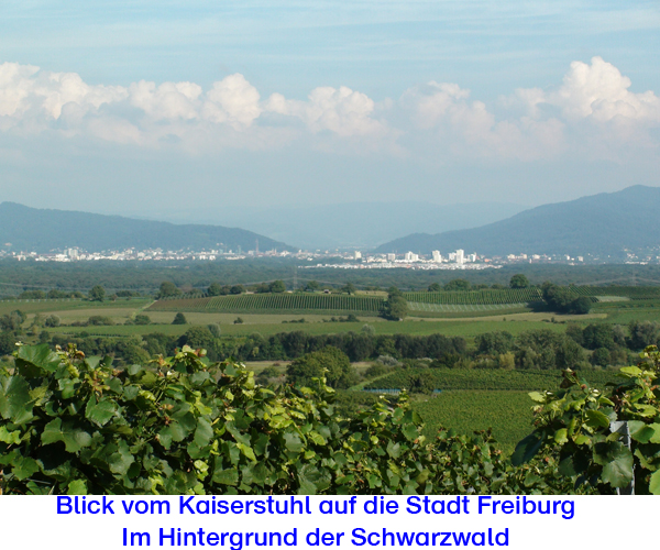 Der Kaiserstuhl MedienwerkstattWissen © 20062021 Medienwerkstatt