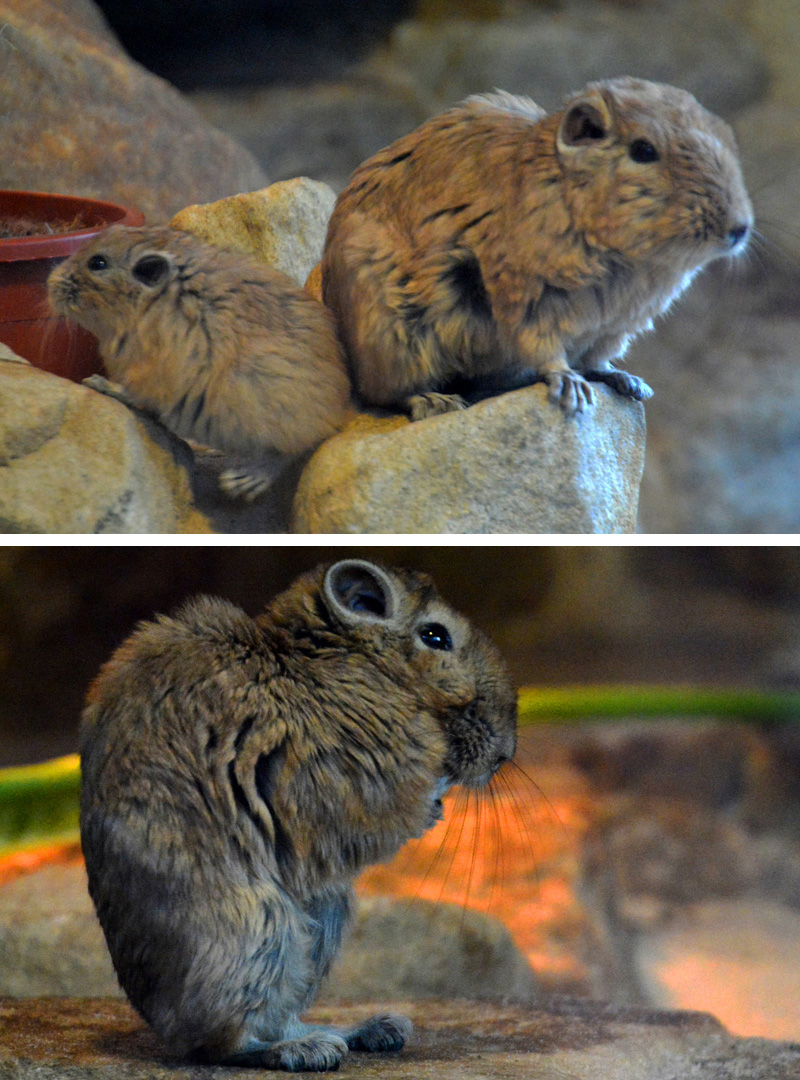 Gundi Fotos MedienwerkstattWissen © 20062021 Medienwerkstatt