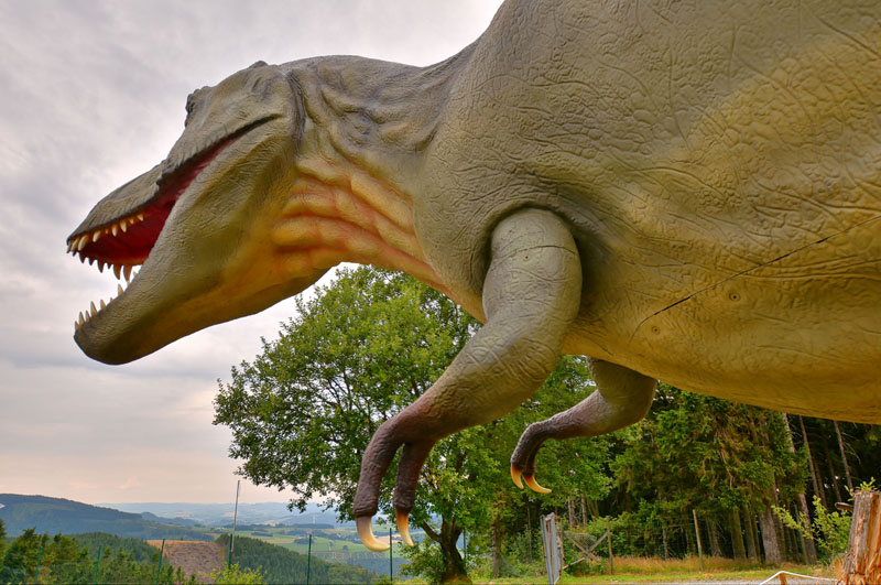 Tyrannosaurus rex - Fotos 2 - Medienwerkstatt-Wissen © 2006-2017