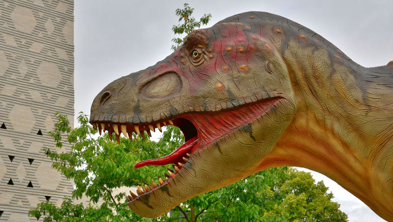 Tyrannosaurus rex - Fotos 1 - Medienwerkstatt-Wissen © 2006-2017