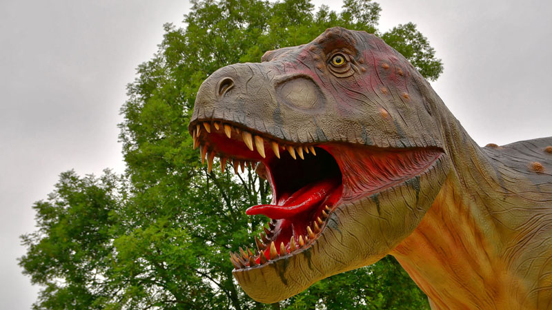 Tyrannosaurus rex - Fotos 1 - Medienwerkstatt-Wissen © 2006-2017