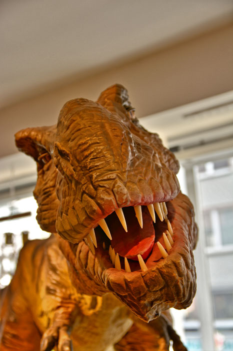 Tyrannosaurus rex - Fotos 2 - Medienwerkstatt-Wissen © 2006-2021