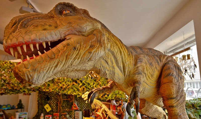 Tyrannosaurus rex - Fotos 2 - Medienwerkstatt-Wissen © 2006-2021