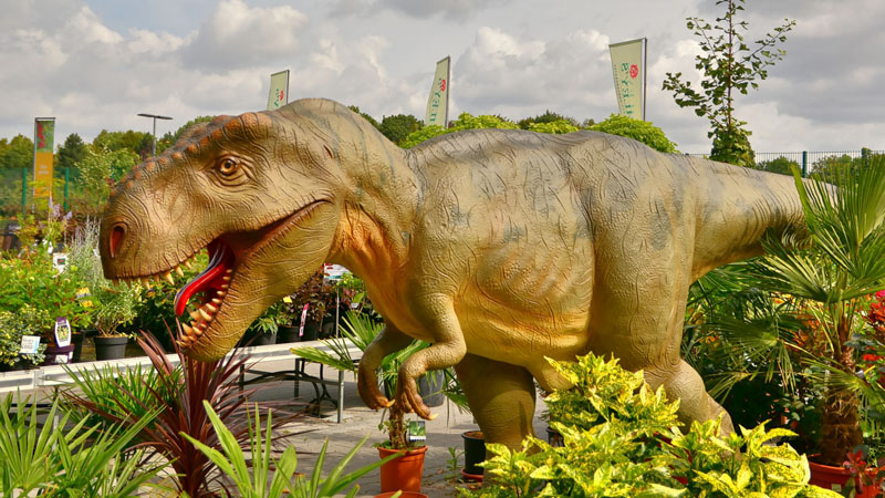 Tyrannosaurus rex - Fotos 3 - Medienwerkstatt-Wissen © 2006-2021
