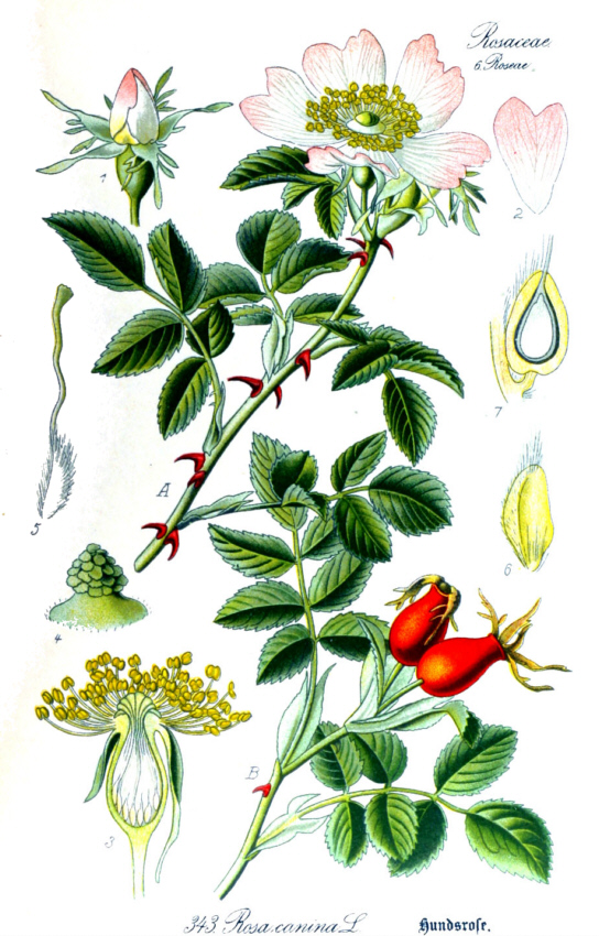 spielzeughandel babykleidung on-line outlet