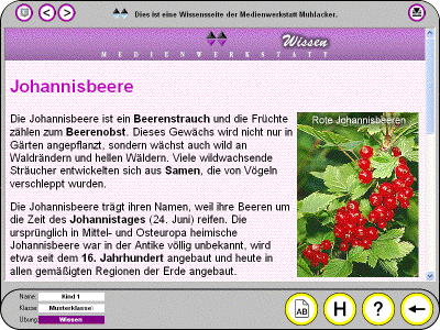 Sccreenshot MWM Wissen