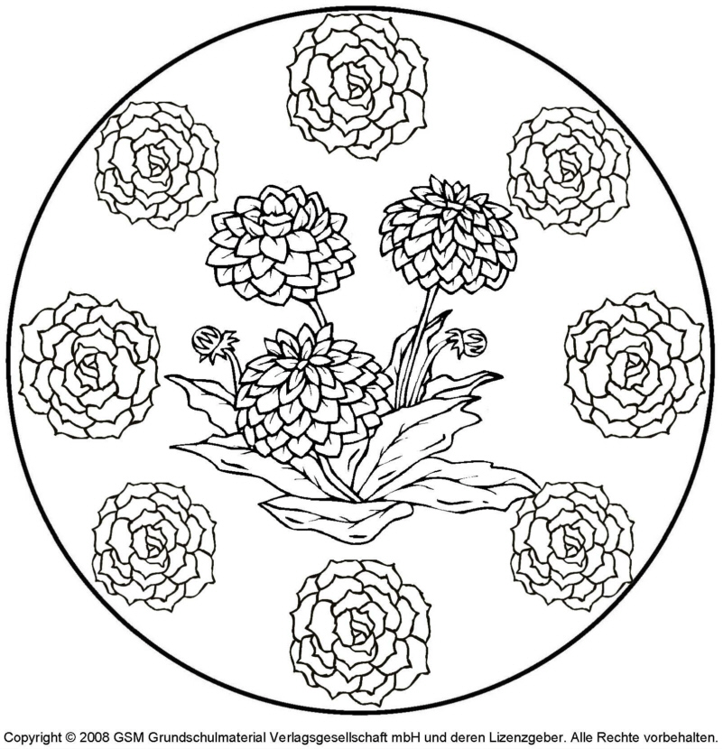 Blumen-Mandala 4 - Medienwerkstatt-Wissen © 2006-2017 ...