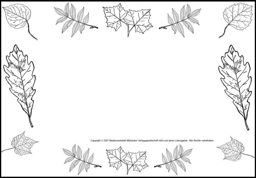 Schmuckblatt - Blattformen 1 - Medienwerkstatt-Wissen © 2006-2025