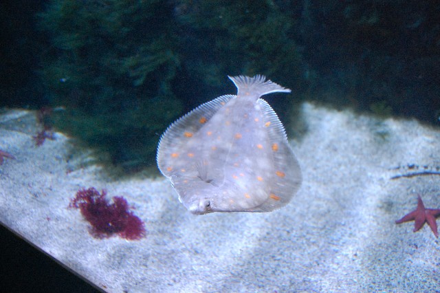 Scholle MedienwerkstattWissen © 20062025 Medienwerkstatt