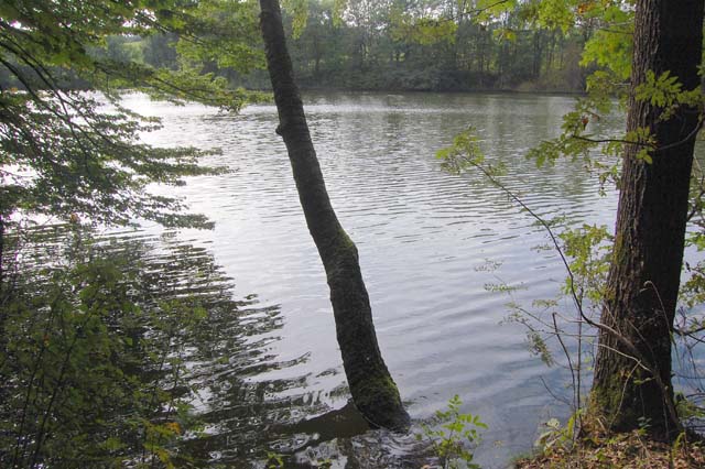 Heilenbecker Talsperre Fotos 2010 MedienwerkstattWissen © 2006