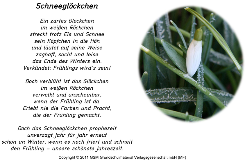 Schneeglöckchen (Gedicht mit Ton) - Medienwerkstatt-Wissen © 2006-2022 Medi...