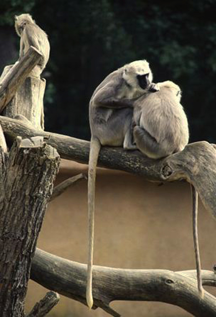 Hulman Fotos 1 MedienwerkstattWissen © 20062025 Medienwerkstatt