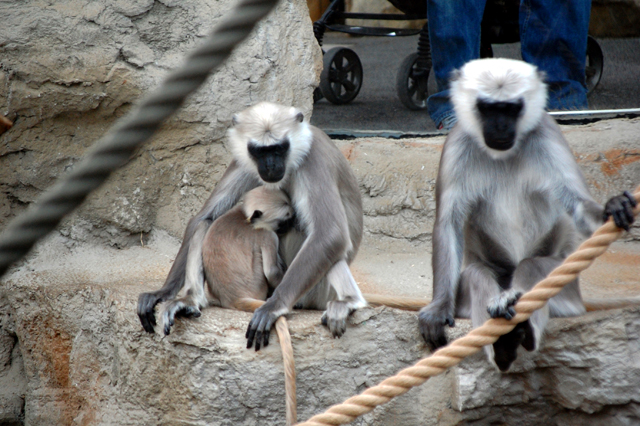 Hulman Fotos 1 MedienwerkstattWissen © 20062025 Medienwerkstatt