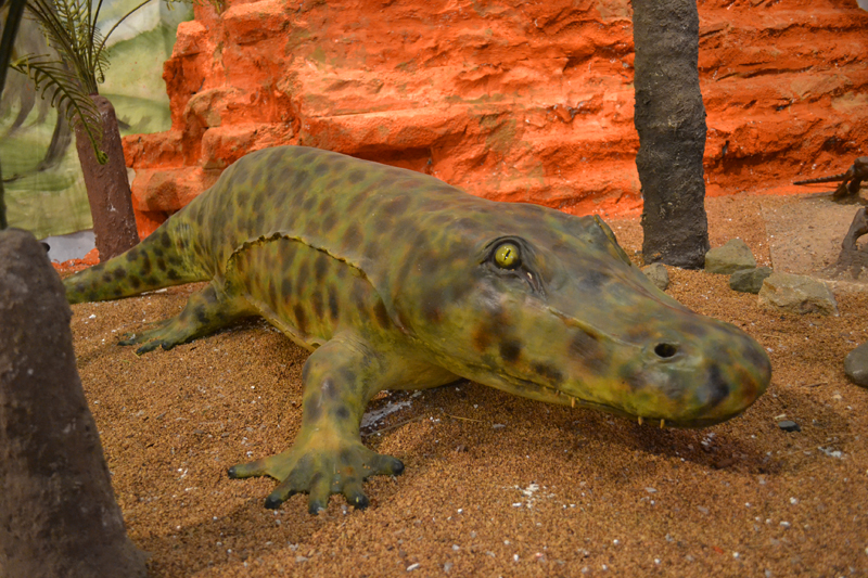 Ausstellung Urzeitliche Tiere Eryops MedienwerkstattWissen © 2006