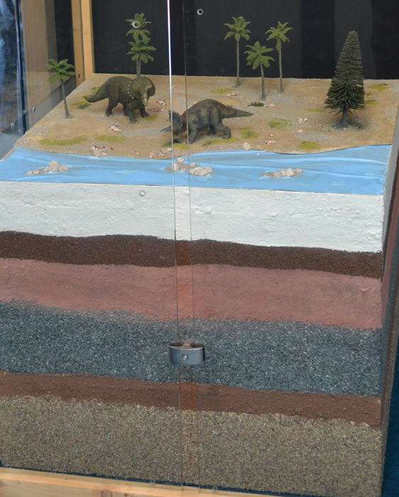 Triceratops von gestern bis heute 1 MedienwerkstattWissen © 2006