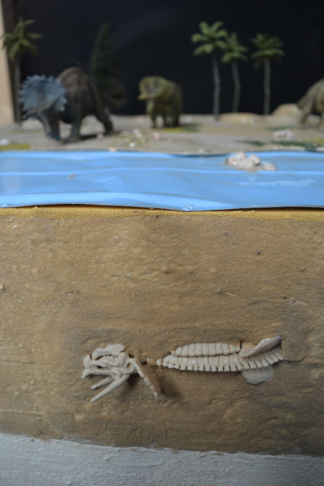 Triceratops von gestern bis heute 3 MedienwerkstattWissen © 2006