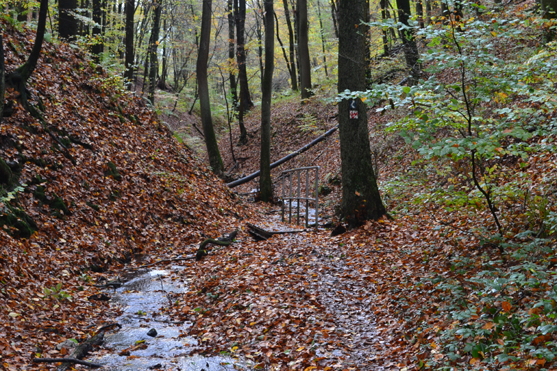 Ruppertsklamm Fotos 4 MedienwerkstattWissen © 20062023