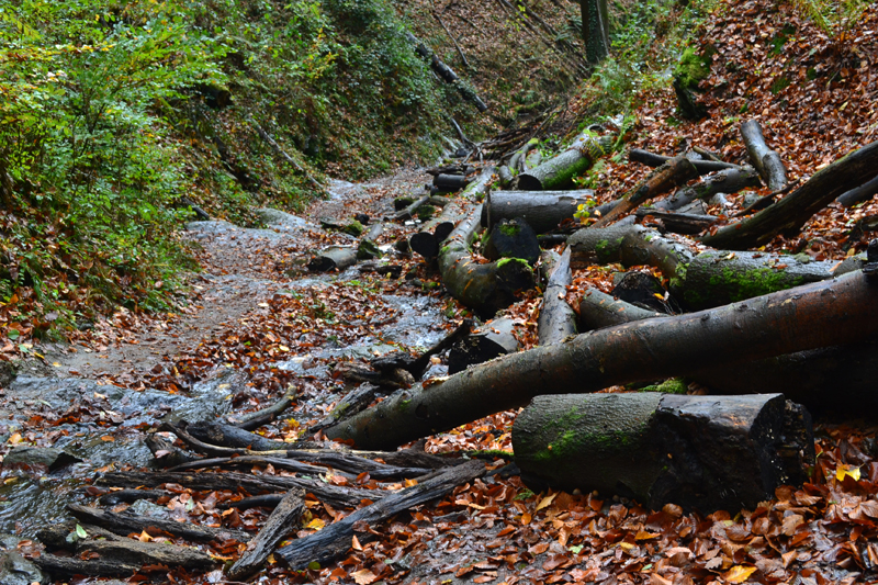 Ruppertsklamm Fotos 4 MedienwerkstattWissen © 20062024