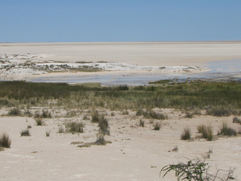 Etosha Nationalpark Fotos 5 MedienwerkstattWissen © 20062024