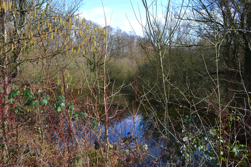 Naturschutzgebiet Am Blumenkamp MedienwerkstattWissen © 20062025