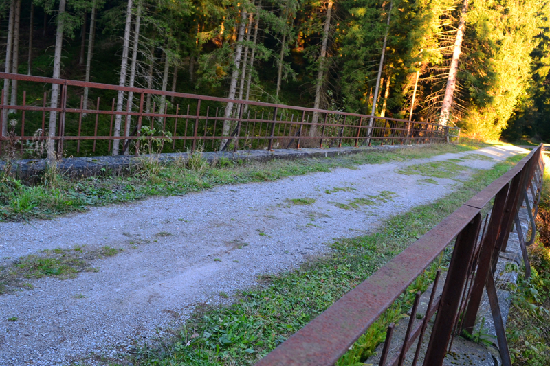 Eisenbahnbrücke der Innerstetalbahn Fotos MedienwerkstattWissen