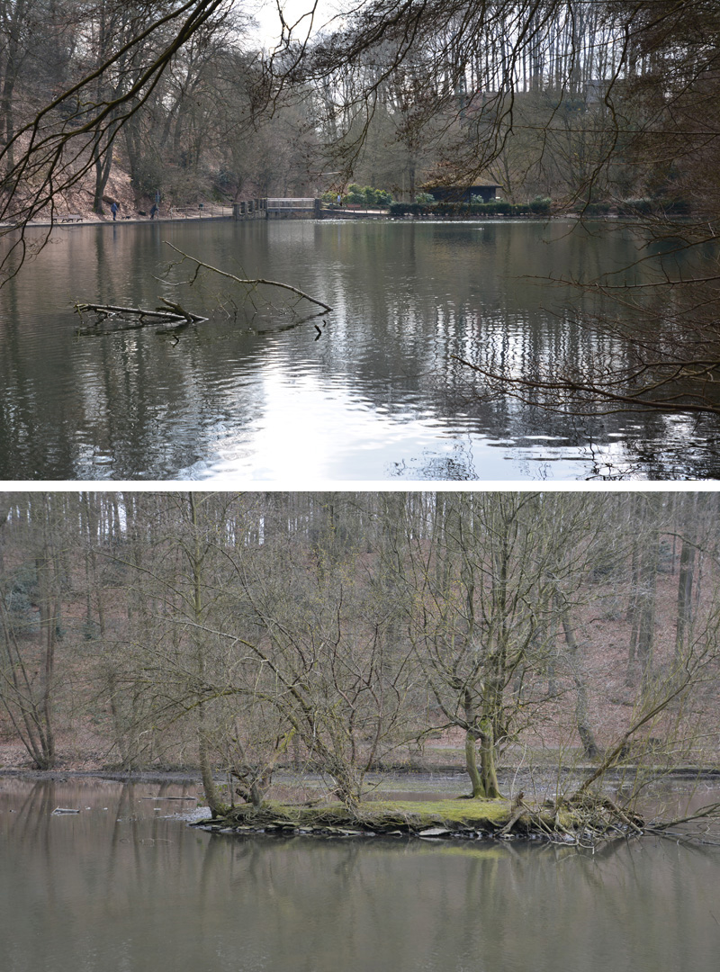 Hammerteich im März 2015 MedienwerkstattWissen © 20062024