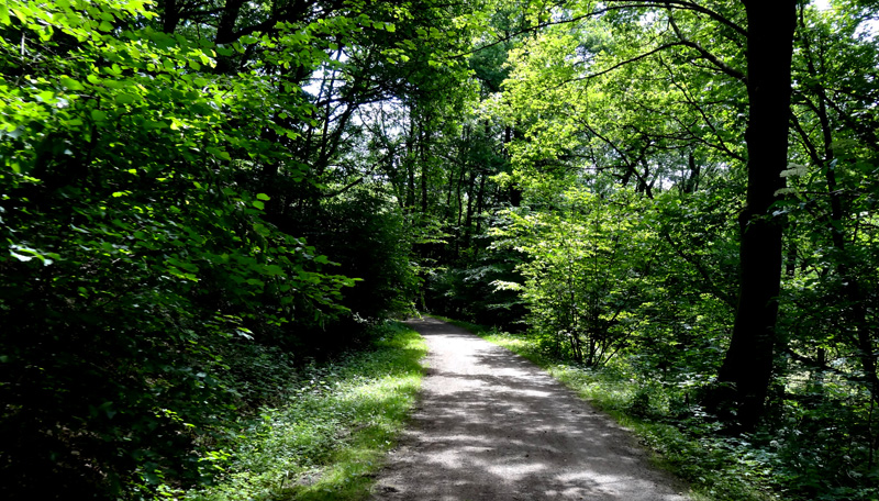 Bahntrasse HaspeVoerdeBreckerfeld allgemein Medienwerkstatt