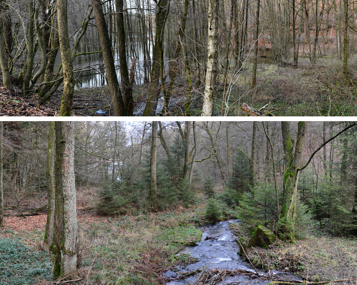 Glörtalsperre Fotos Dezember 20151 MedienwerkstattWissen © 2006