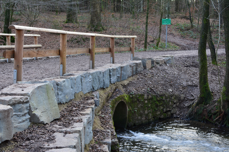 Glörtalsperre Fotos Dezember 20153 MedienwerkstattWissen © 2006