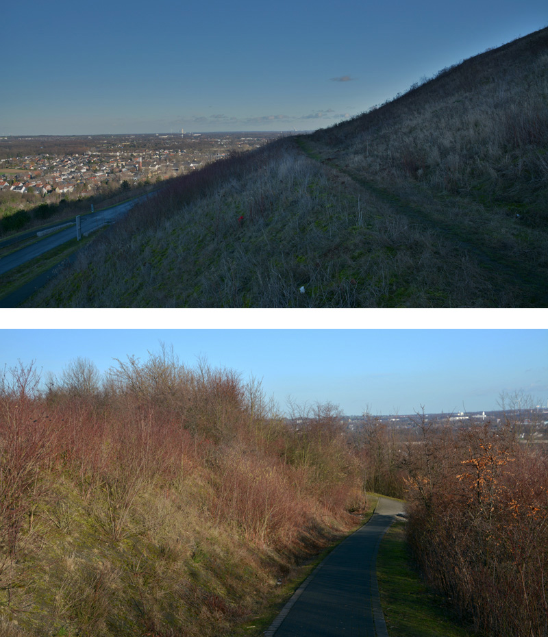 Halde Hoheward Fotos 6 MedienwerkstattWissen © 20062024