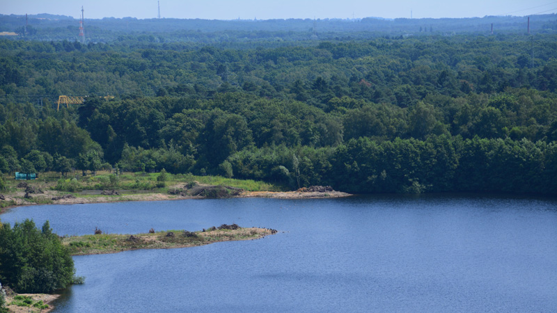 Haubachsee allgemein MedienwerkstattWissen © 20062023 Medienwerkstatt