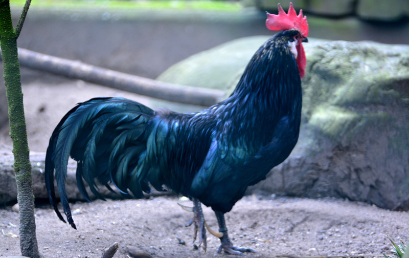 Krüper MedienwerkstattWissen © 20062025 Medienwerkstatt