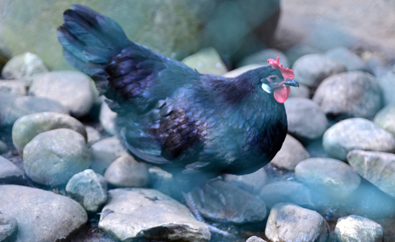 Krüper MedienwerkstattWissen © 20062024 Medienwerkstatt