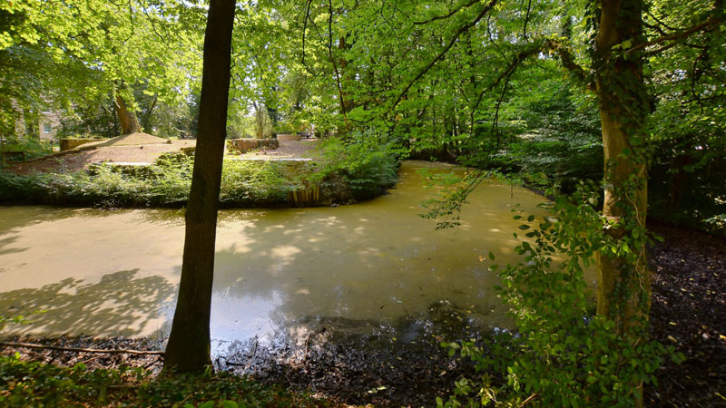 Motte Kippekausen Fotos MedienwerkstattWissen © 20062023