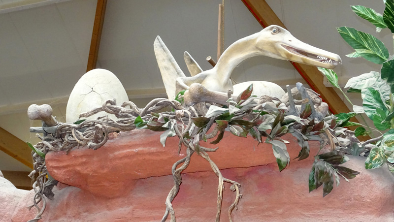 DinoDome Fotos 2 MedienwerkstattWissen © 20062023 Medienwerkstatt