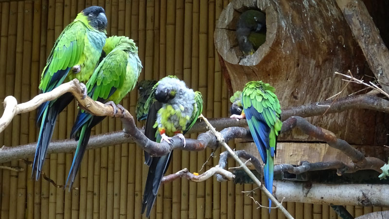 Nandaysittich MedienwerkstattWissen © 20062024 Medienwerkstatt