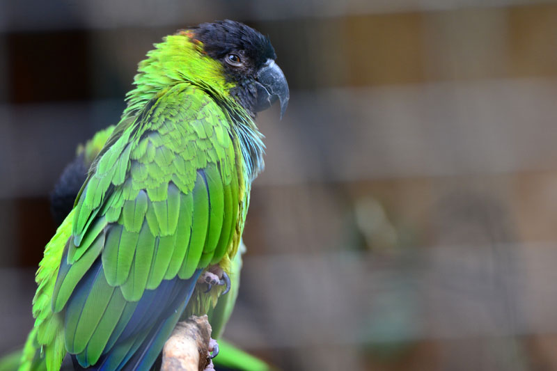 Nandaysittich MedienwerkstattWissen © 20062024 Medienwerkstatt