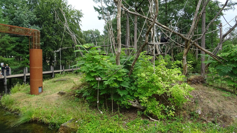 Bartaffen Gehege MedienwerkstattWissen © 20062024 Medienwerkstatt