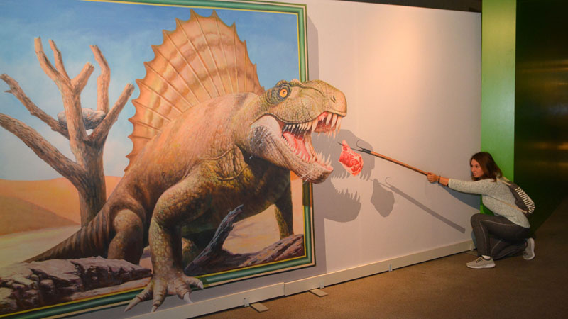 Dimetrodon MedienwerkstattWissen © 20062025 Medienwerkstatt