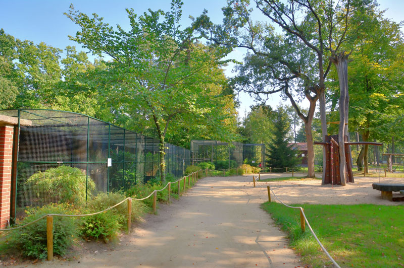 Serval MedienwerkstattWissen © 20062024 Medienwerkstatt