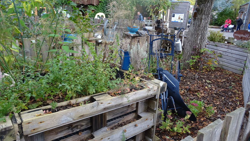 Kräutergarten MedienwerkstattWissen © 20062025 Medienwerkstatt