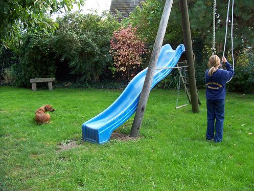 Hadhi darf eine hängende Beute stellen - Medienwerkstatt-Wissen © 2006