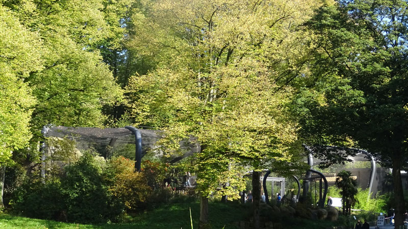 ARALANDIA allgemein MedienwerkstattWissen © 20062024 Medienwerkstatt