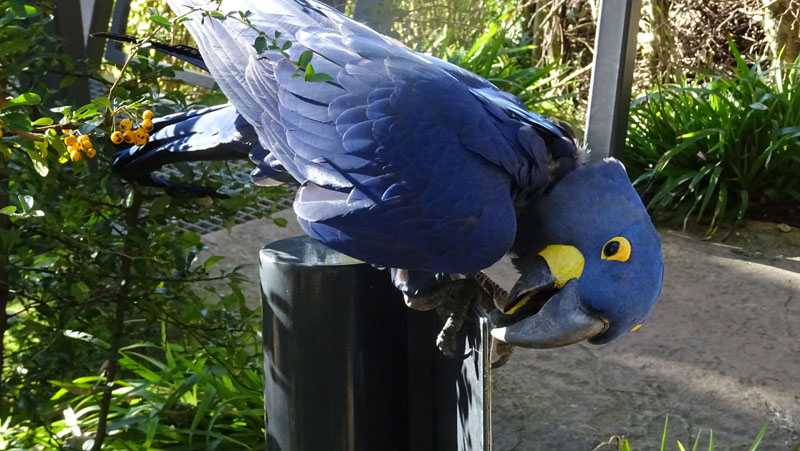 ARALANDIA Fotos 6 MedienwerkstattWissen © 20062025 Medienwerkstatt