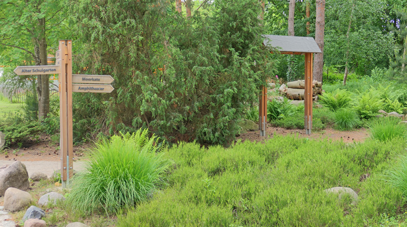 Moor und Heidebiotop allgemein MedienwerkstattWissen © 20062025