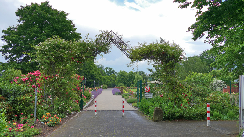 Rosengarten in Seppenrade - allgemein - Medienwerkstatt-Wissen © 2006 ...