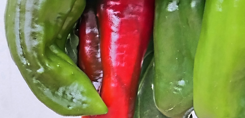 Wissenswertes über Chili MedienwerkstattWissen © 20062023