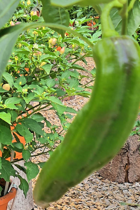 Ramiro MedienwerkstattWissen © 20062023 Medienwerkstatt