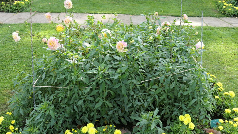 Polka MedienwerkstattWissen © 20062025 Medienwerkstatt