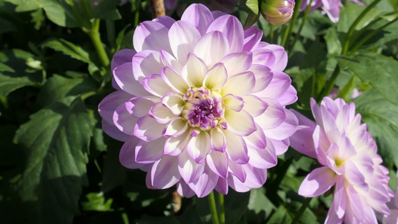 Jaqueline MedienwerkstattWissen © 20062024 Medienwerkstatt